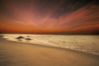 Picture of MARTHAS VINEYARD BEACH III