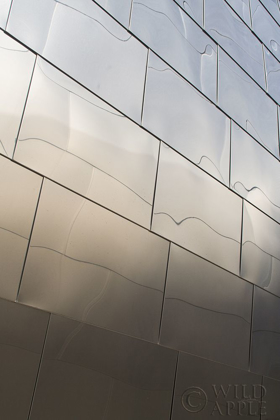 Picture of SKYSCRAPER IV