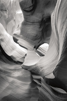 Picture of LOWER ANTELOPE CANYON IX BW