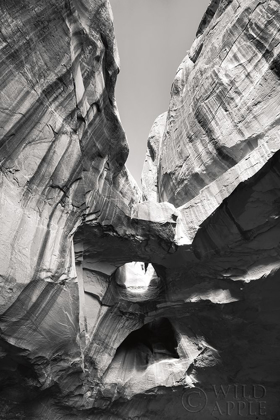 Picture of NEON CANYON I BW