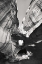Picture of NEON CANYON I BW