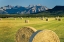 Picture of WATERTON HAY BALES