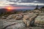 Picture of ACADIA NATIONAL PARK SUNSET