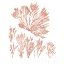 Picture of PACIFIC SEA MOSSES XXI RED SQ