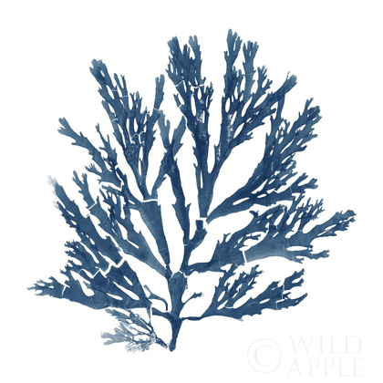 Picture of PACIFIC SEA MOSSES BLUE ON WHITE I