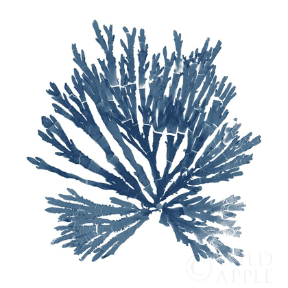 Picture of PACIFIC SEA MOSSES BLUE ON WHITE II