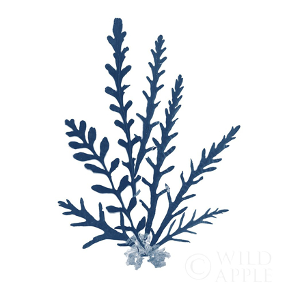 Picture of PACIFIC SEA MOSSES BLUE ON WHITE III