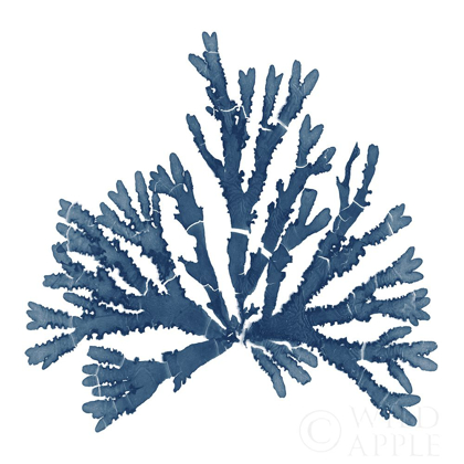 Picture of PACIFIC SEA MOSSES BLUE ON WHITE IV