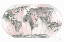 Picture of WORLD MAP BLUSH V2