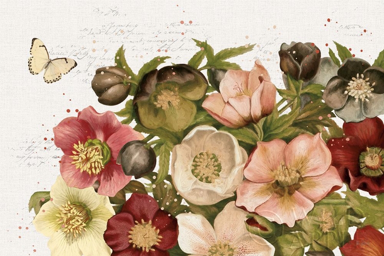 Picture of VINTAGE PETALS I