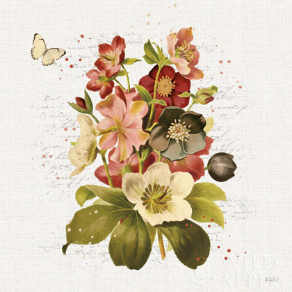 Picture of VINTAGE PETALS VI