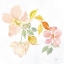 Picture of COLORS OF THE WIND II
