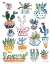Picture of FUNKY CACTI I SUMMER