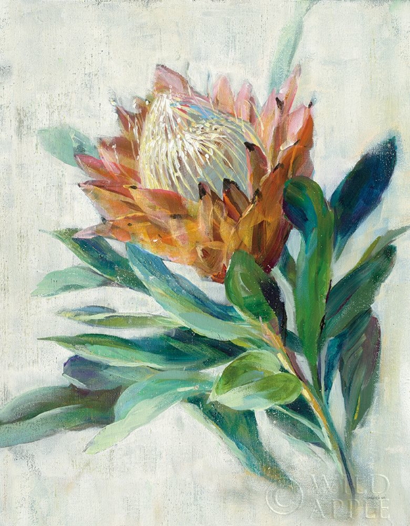 Picture of PROTEA