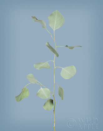 Picture of SIMPLE STEMS I BLUE CROP