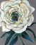 Picture of ROSE