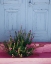 Picture of SANTORINI I SPRING CROP