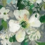 Picture of ANEMONE AND FRIENDS IV