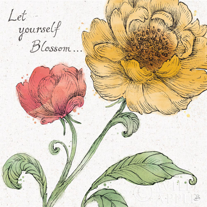 Picture of BLOSSOM SKETCHES III WORDS COLOR