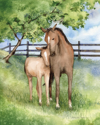 Picture of FARM FAMILY HORSES