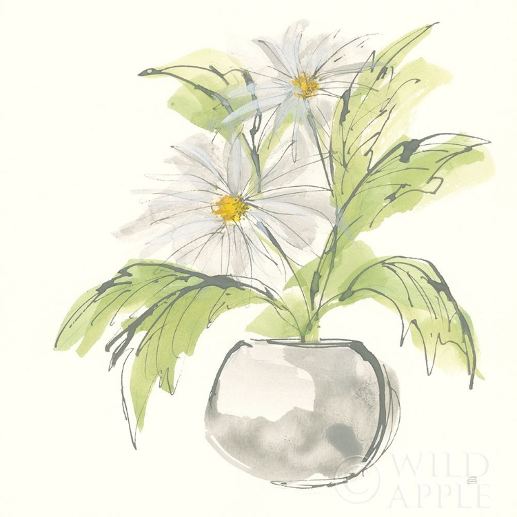 Picture of PLANT DAISY II