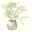 Picture of PLANT BLOSSOM I