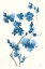 Picture of BLUE BRANCH III