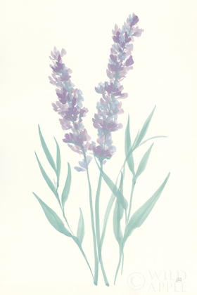 Picture of LAVENDER I