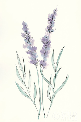 Picture of LAVENDER III