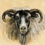 Picture of HIGHLAND ANIMAL RAM