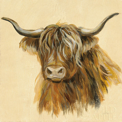 Picture of HIGHLAND ANIMAL COW