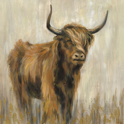 Picture of HIGHLAND MOUNTAIN COW