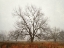 Picture of MORNING CALM I