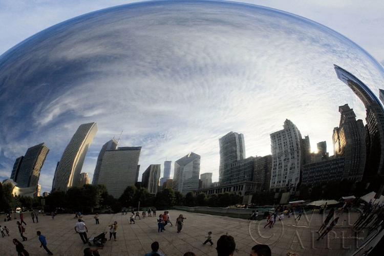 Picture of THE BEAN CHICAGO