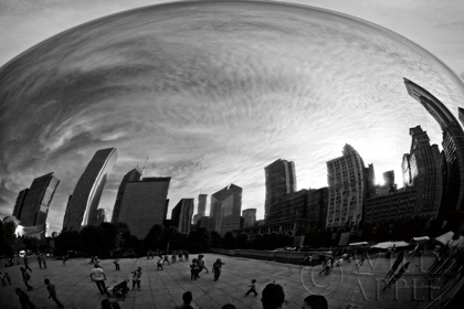 Picture of THE BEAN CHICAGO BW