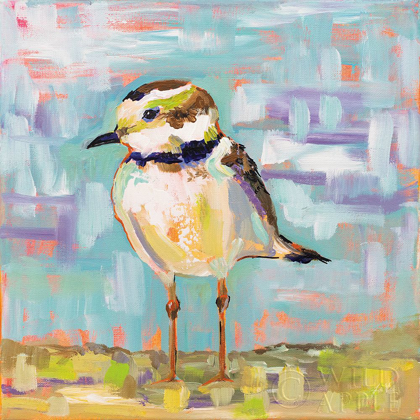 Picture of COASTAL PLOVER II