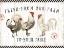 Picture of FREE RANGE FRESH I V2