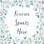 Picture of ENCHANTED FOREST II SQ