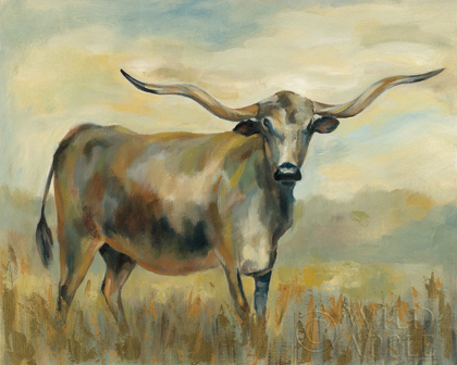Picture of LONGHORN COW