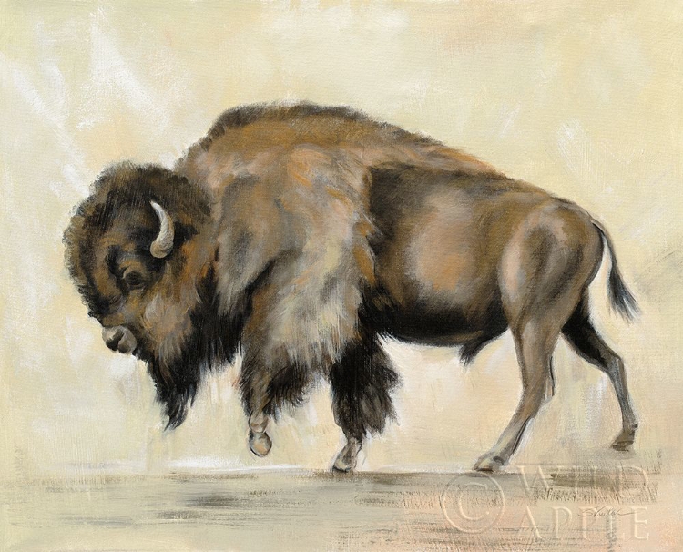 Picture of BRONZE BUFFALO