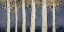 Picture of MAGNIFICENT BIRCH GROVE INDIGO CROP