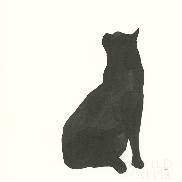 Picture of BLACK CAT II