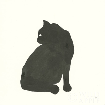 Picture of BLACK CAT IV