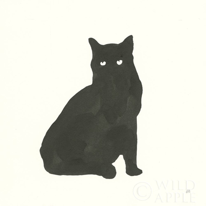 Picture of BLACK CAT V
