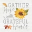 Picture of FALL SPLENDOR IX