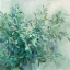 Picture of BAY LAUREL