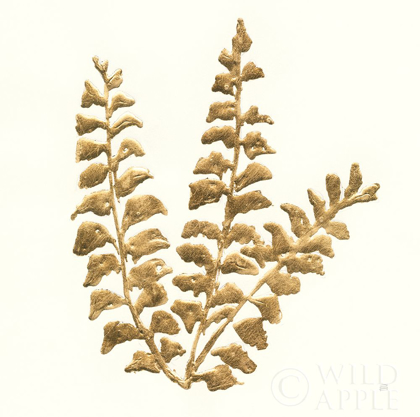 Picture of GILDED FERN III