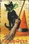 Picture of HALLOWEEN NOSTALGIA CAT WITH BROOM