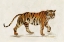 Picture of WALKING TIGER LIGHT