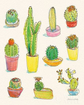 Picture of CACTI GARDEN I